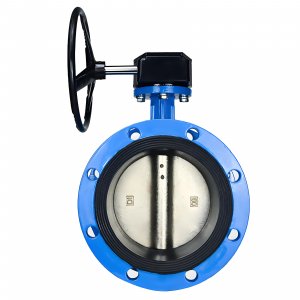 法兰式蜗轮蜗杆蝶阀DN40，1.6Mpa（橡胶密封